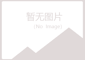 东河区女孩制造有限公司